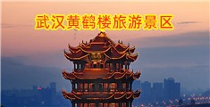 中国男操女网站